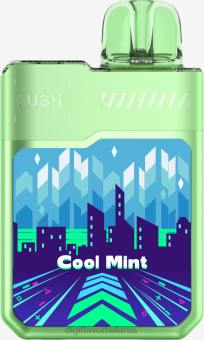 Digiflavor Geekbar LUSH одноразовые товары прохладный мятный 600R10 Geekvape Digiflavor Отзывы