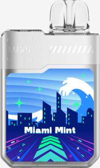 Digiflavor Geekbar LUSH одноразовые товары Майами мята 600R11 Digiflavor Belarus